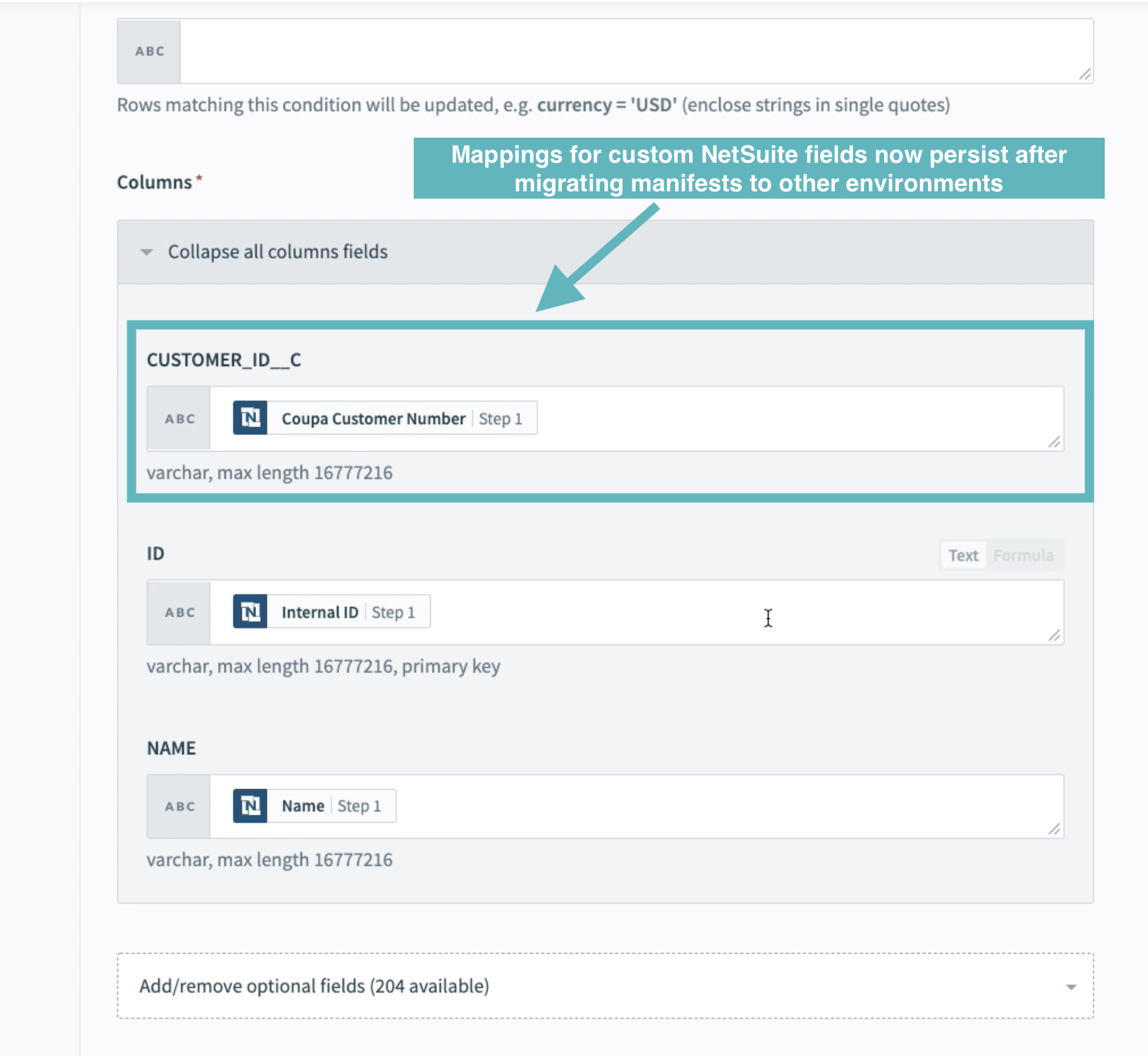 Screenshot of NetSuite custom field mapping